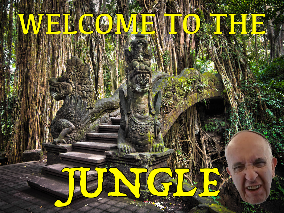 Welcome To The Jungle The Amazon Synod Is Here Novus - 